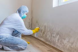 Why You Should Choose Our Mold Remediation Services in Harrisville, UT